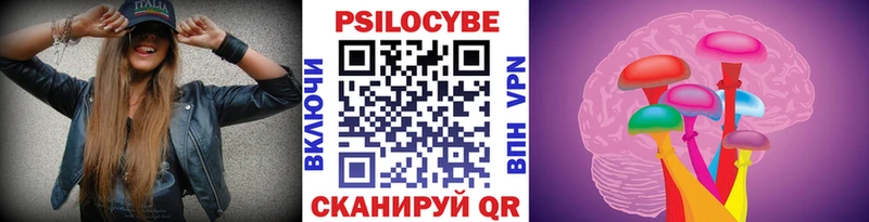 Купить где  Советский  Галлюциногенные грибы Psilocybe 