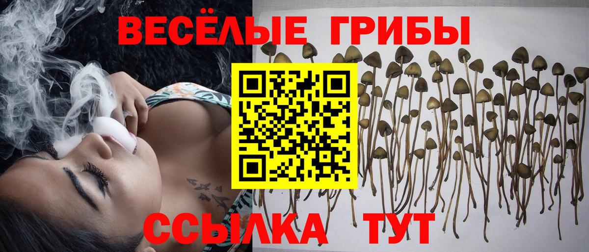 Галлюциногенные грибы ЛСД  Псилоцибиновые грибы Cubensis  Вход с VPN  Советский 