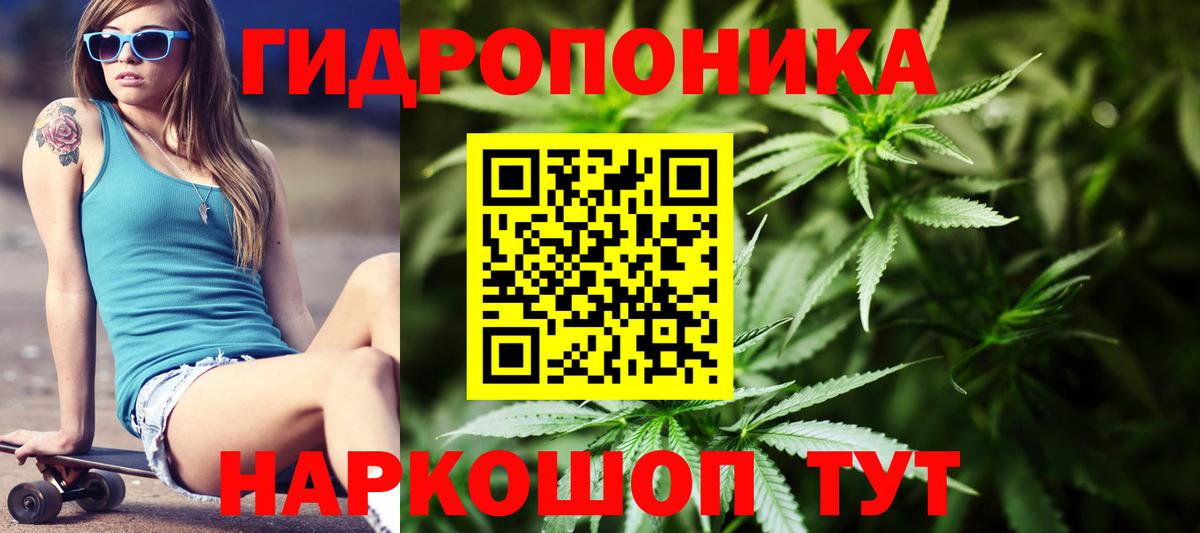 Бошки Шишки SATIVA & INDICA  МАРИХУАНА индика  Вход с VPN  Советский  Бошки Шишки THC 21% 